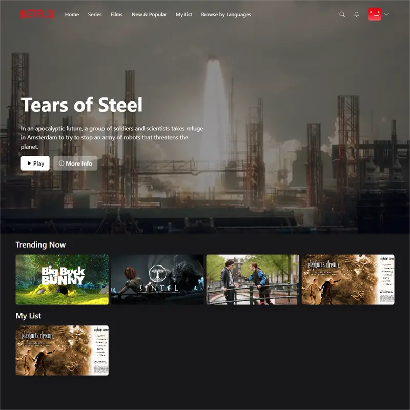 Project: Netflix